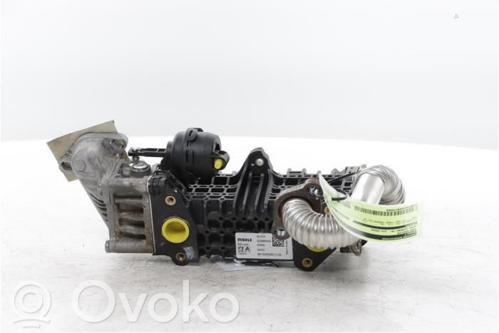 Opel Combo E Valvola di raffreddamento EGR 