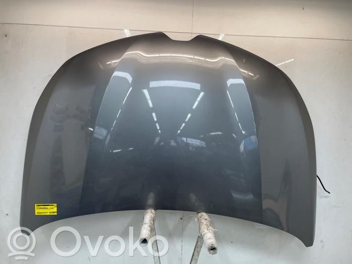Renault Clio V Motorhaube