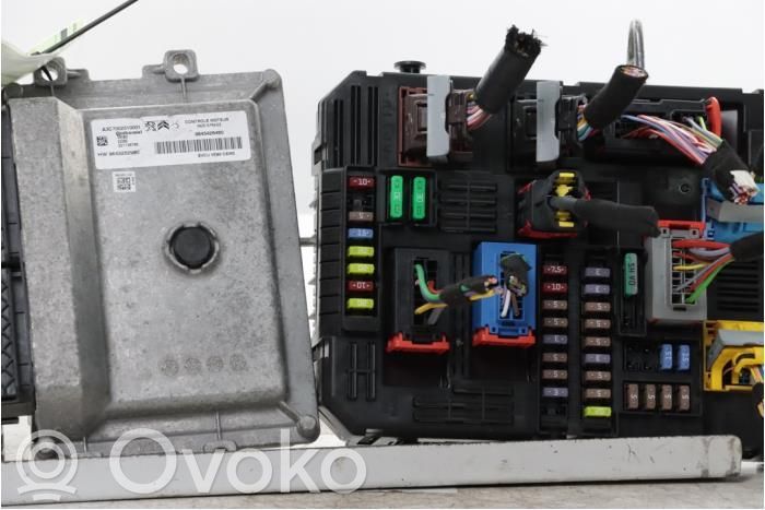 Opel Vivaro Unitate/modul de control motor 
