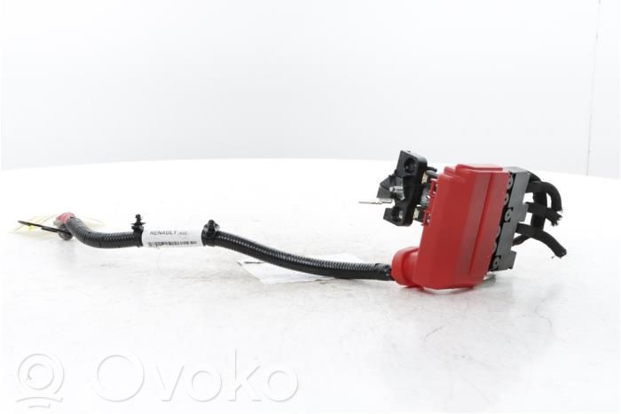 Renault Symbioz Cavo negativo messa a terra (batteria)