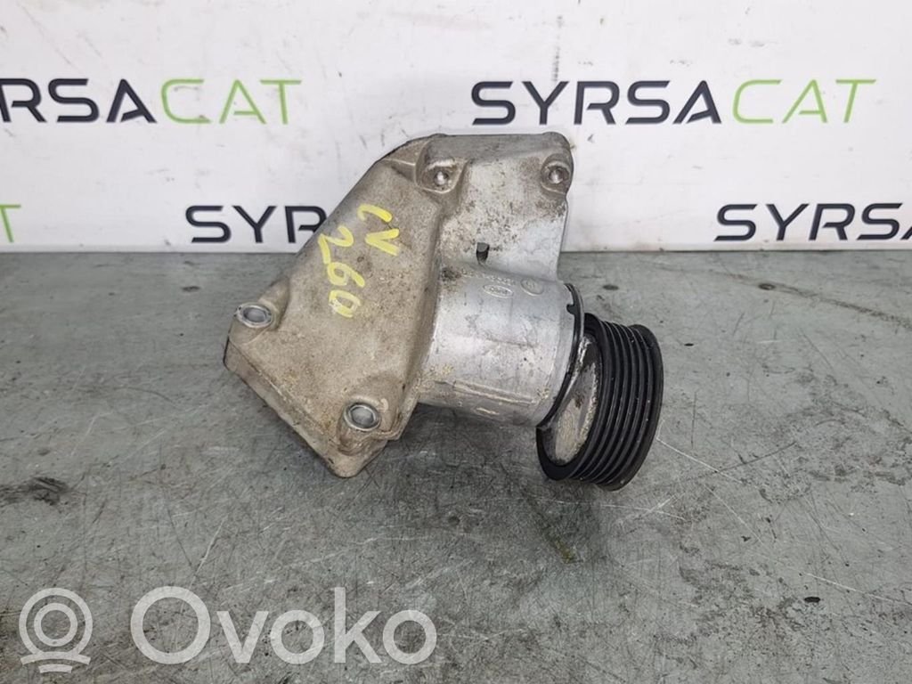Ford Focus Generator/alternator belt tensioner 