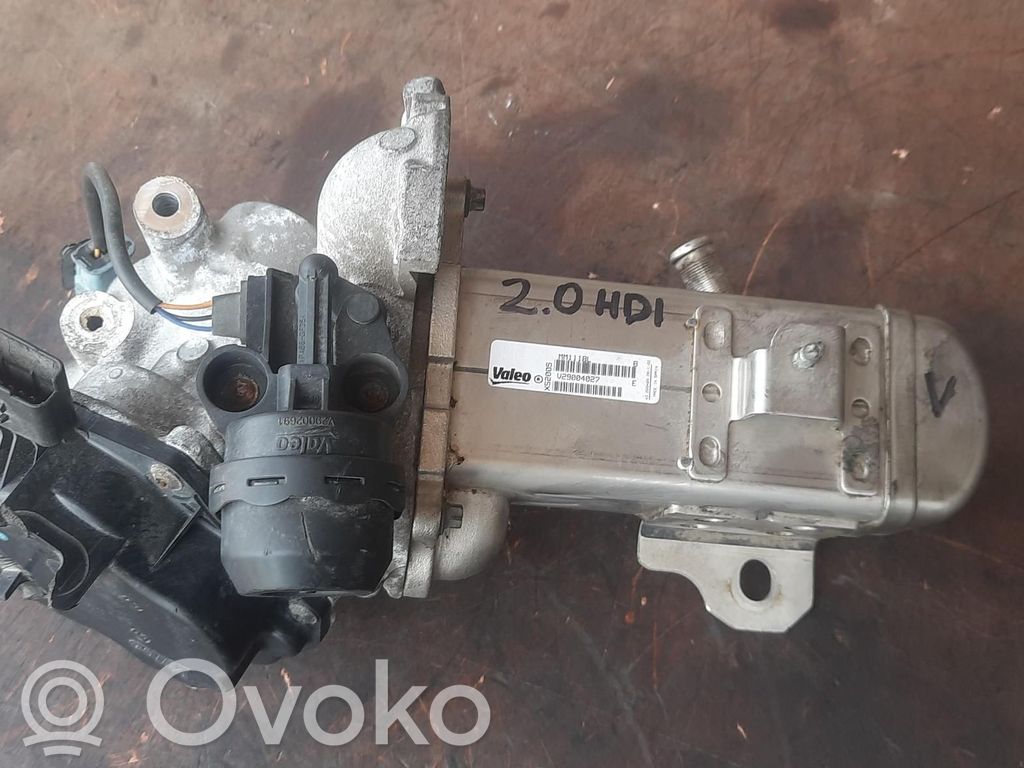 Citroen C5 Refrigerador de la válvula EGR 