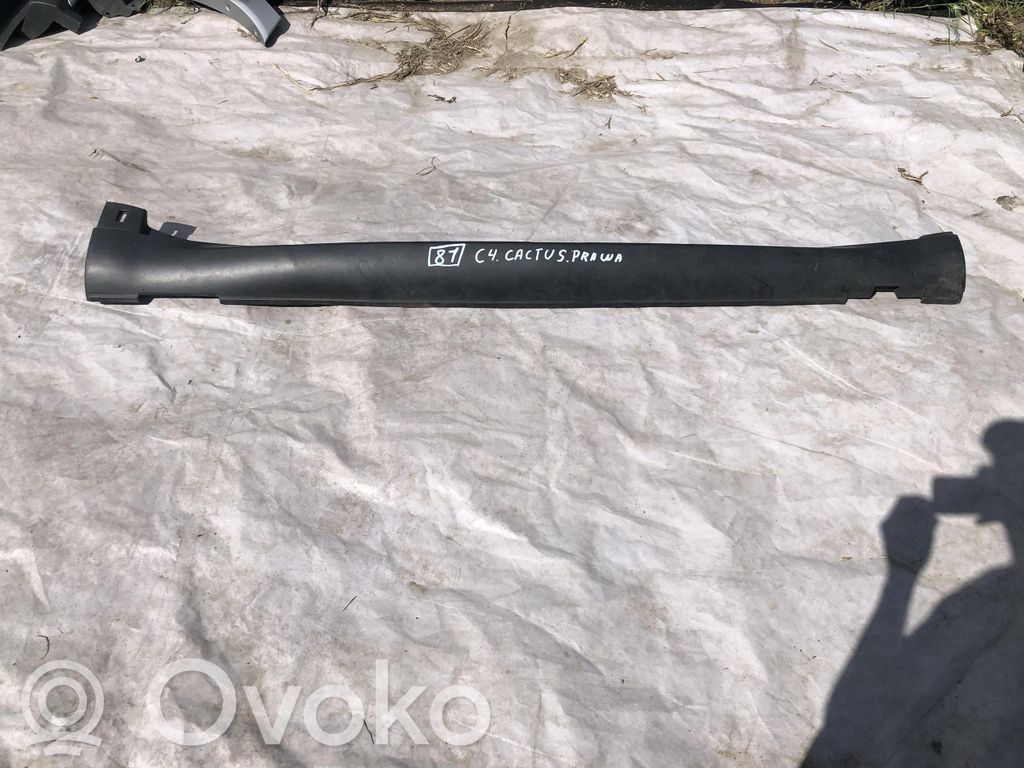 Citroen C4 Cactus Listón delantero (repuesto de carrocería) 