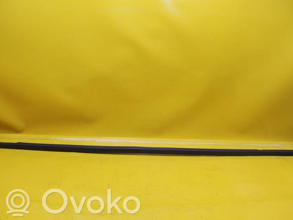 Volkswagen Caddy Front door glass trim molding 