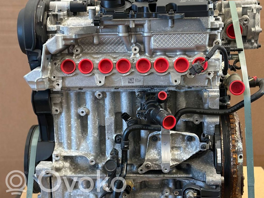Variklis   B4204T28