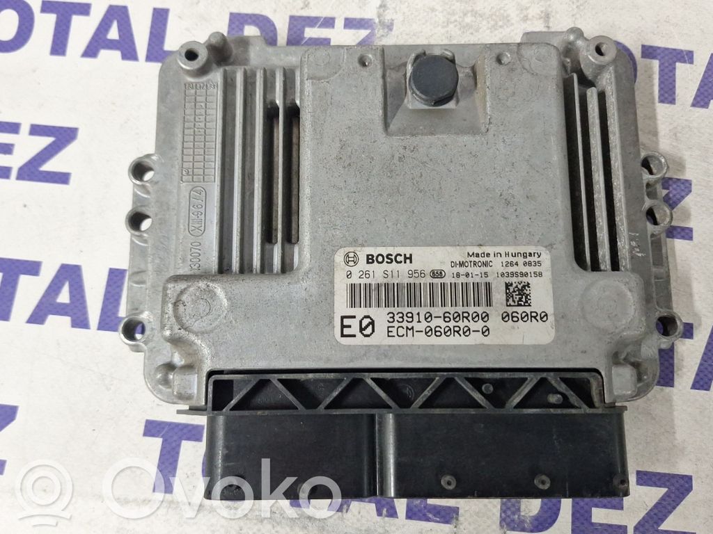 Engine control unit/module   3391060R00,0261S11956,ECM060R00,0261S11958