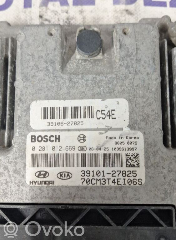 Engine control unit/module   3910127825,0281012669,3910627825