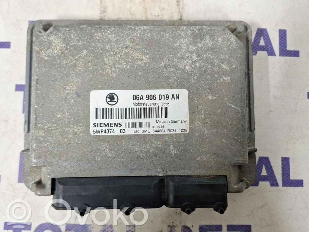 Skoda Octavia Mk1 (1U) Engine control unit/module 