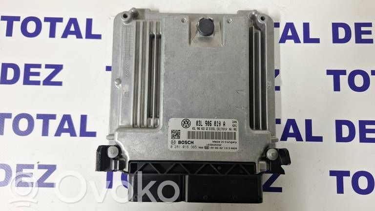 Engine control unit/module   03L906022GE,03L906019A,0281016365