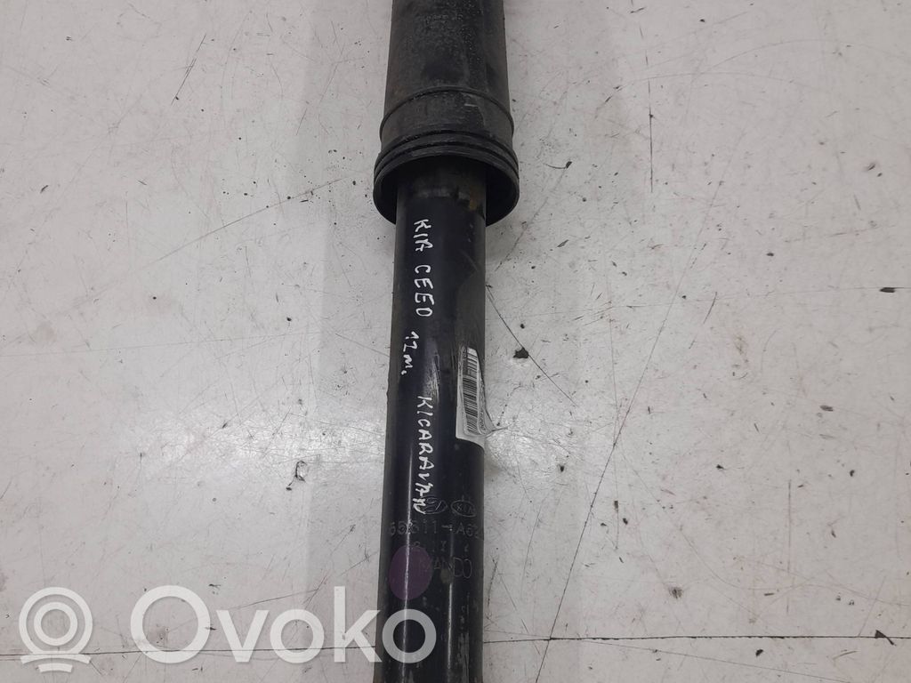 Stoßdämpfer hinten   55300