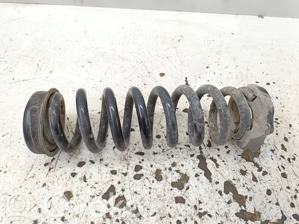 Muelle espiral trasero
