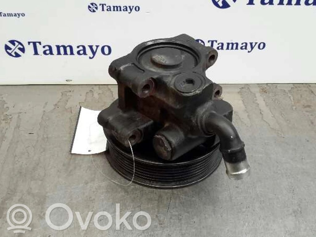 Ford Transit Vairo stiprintuvo siurblys 