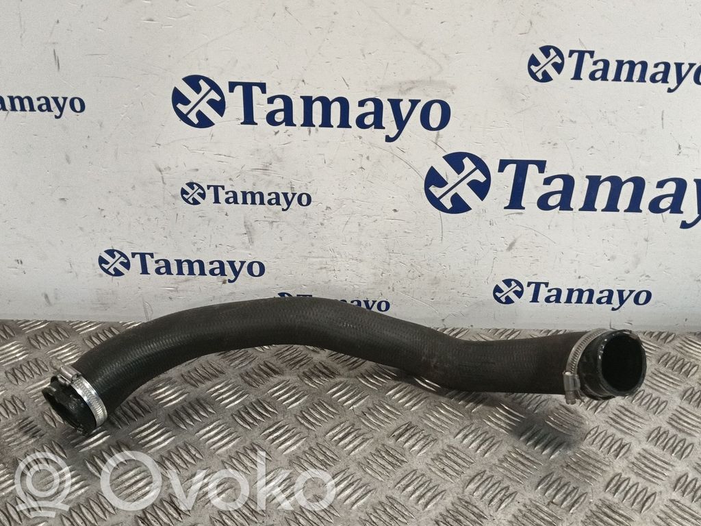 Coolant pipe/hose