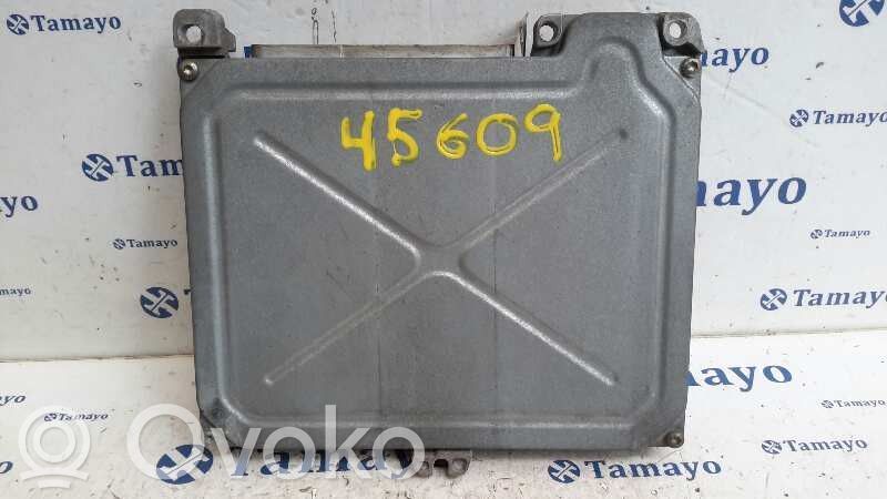 Renault 19 Engine control unit/module 