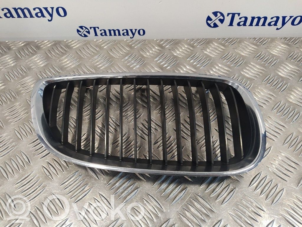 Kühlergrill   22405910