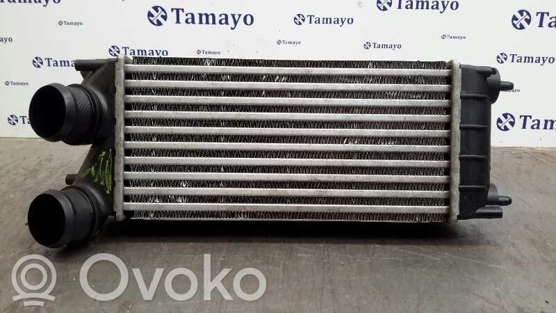 Peugeot 307 Radiator intercooler 