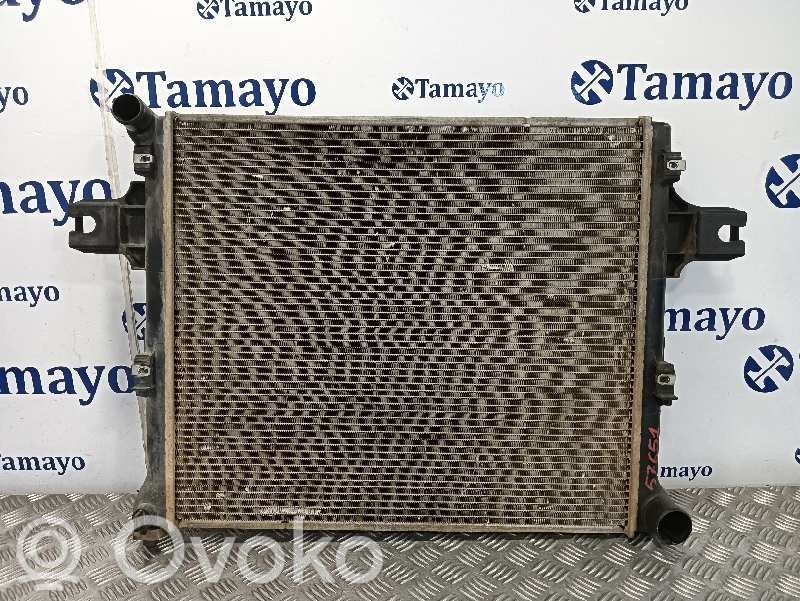 Jeep Grand Cherokee (WK) Radiatore di raffreddamento 