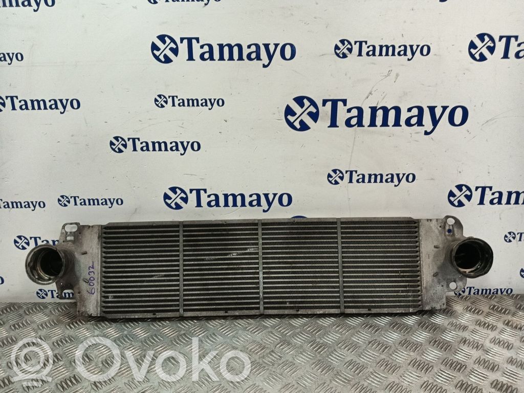 Volkswagen Transporter - Caravelle T5 Radiatore intercooler