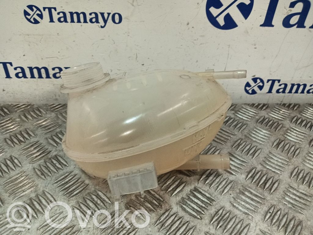 Vas expansiune combustibil   GN118A080AA