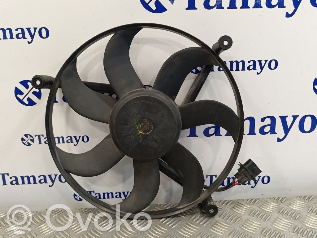 Seat Cordoba (6L) Elektrolüfter