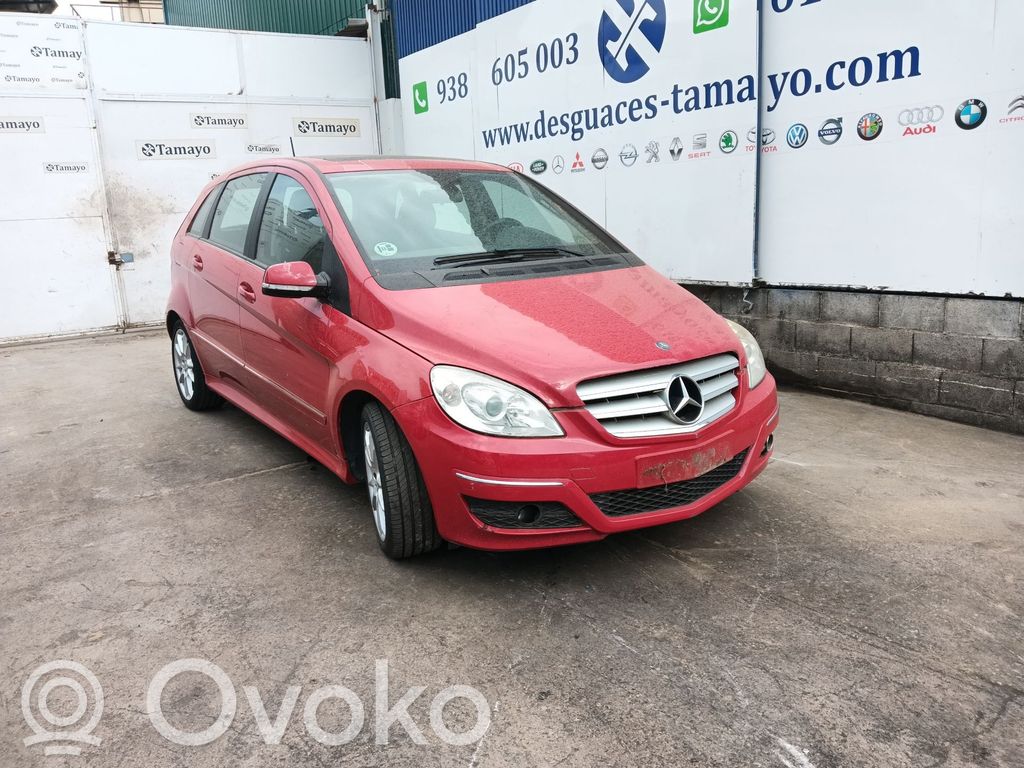 Mercedes-Benz B W245 Motor