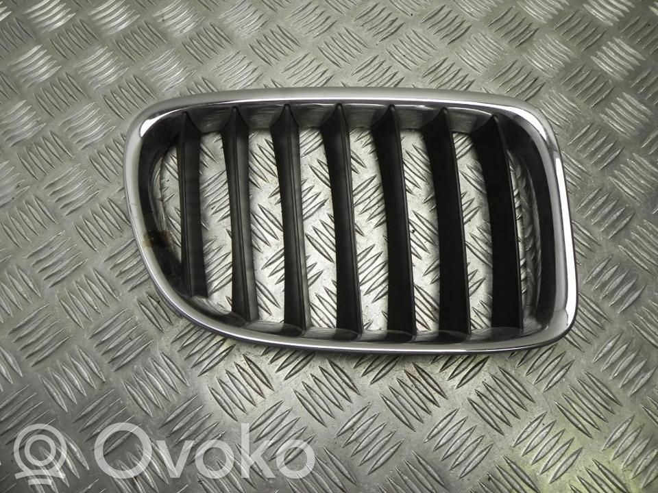BMW X1 E84 Front grill 