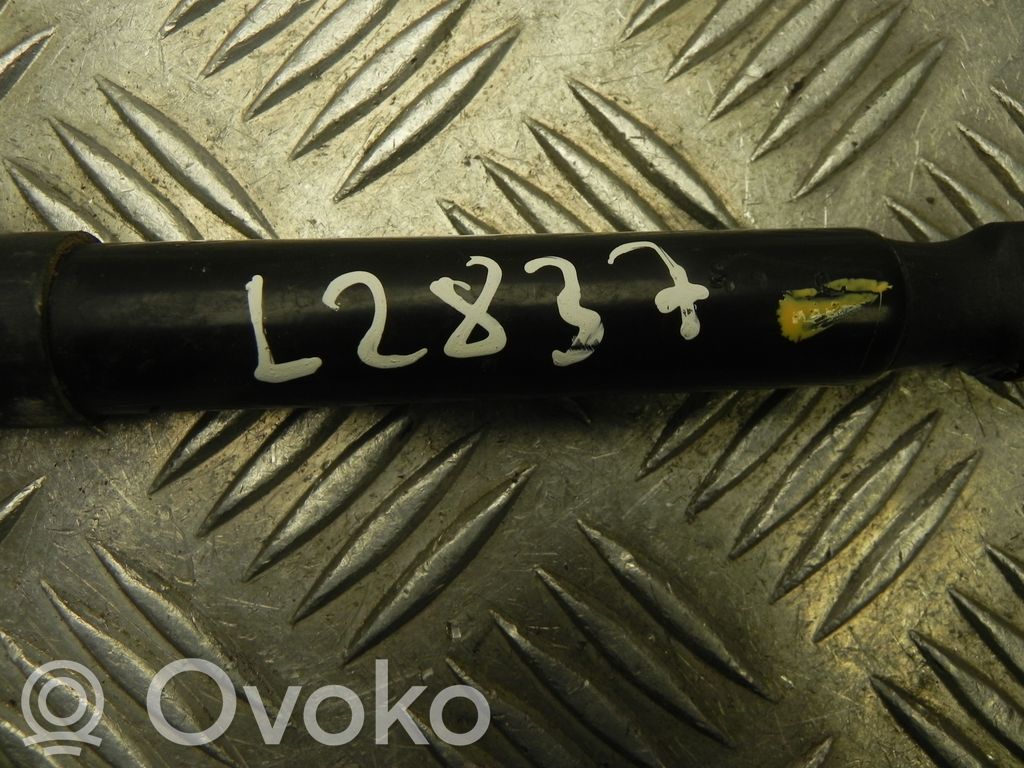 Tesla Model Y Spyruoklė (-ės) galinio dangčio 