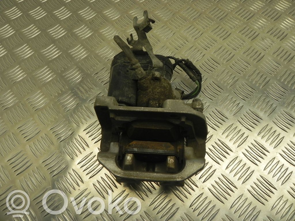 Takajarrusatula   8832480,VD25216