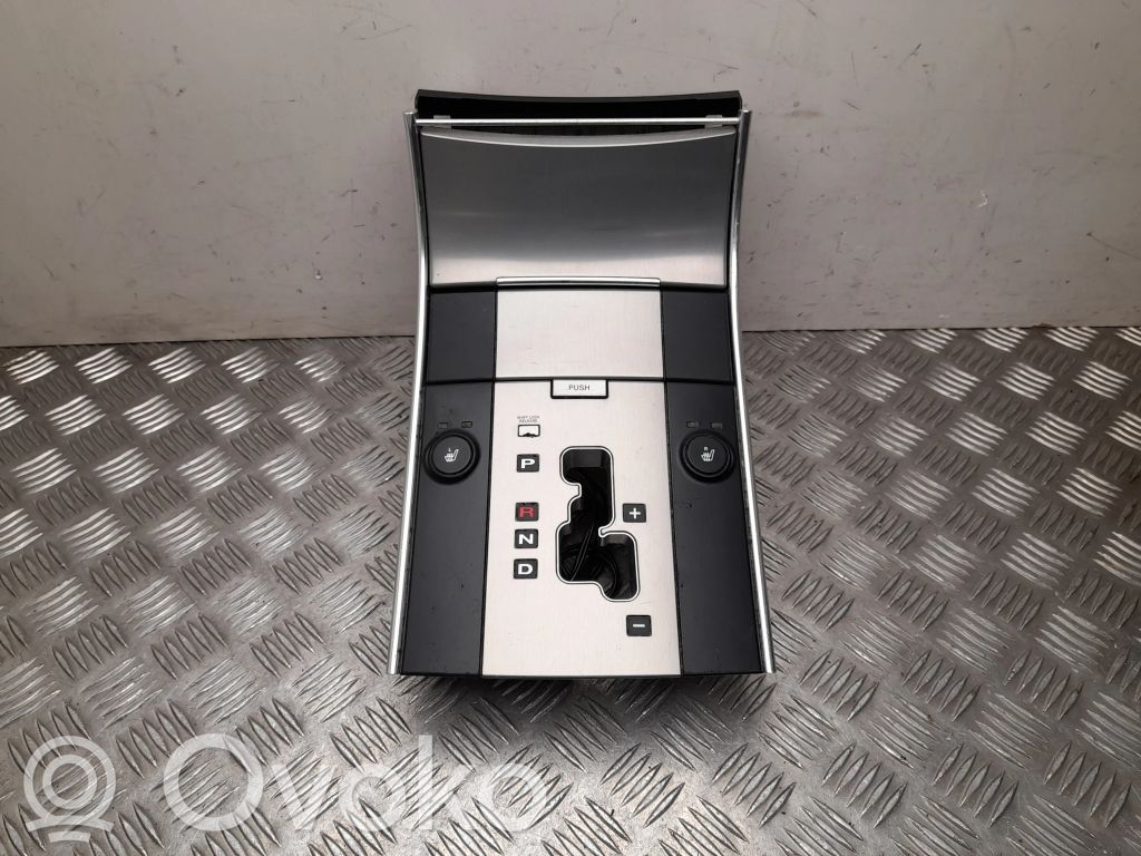 Hyundai ix 55 Rivestimento del pannello