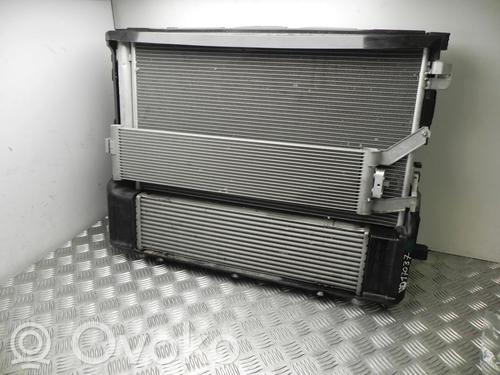 BMW 5 G30 G31 G38 Set del radiatore 