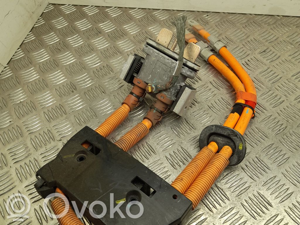 Tesla Model S Other wiring loom 