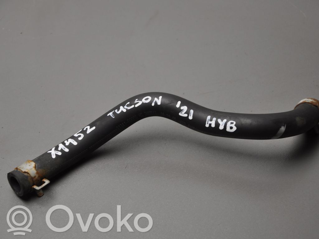 Przewód / Wąż chłodnicy   31341P0000,KLEX1452
