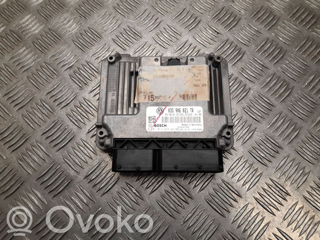 Skoda Octavia Mk2 (1Z) Engine control unit/module 