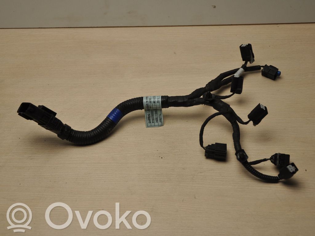 Hyundai Tucson IV NX4 Cables de los inyectores de combustible 