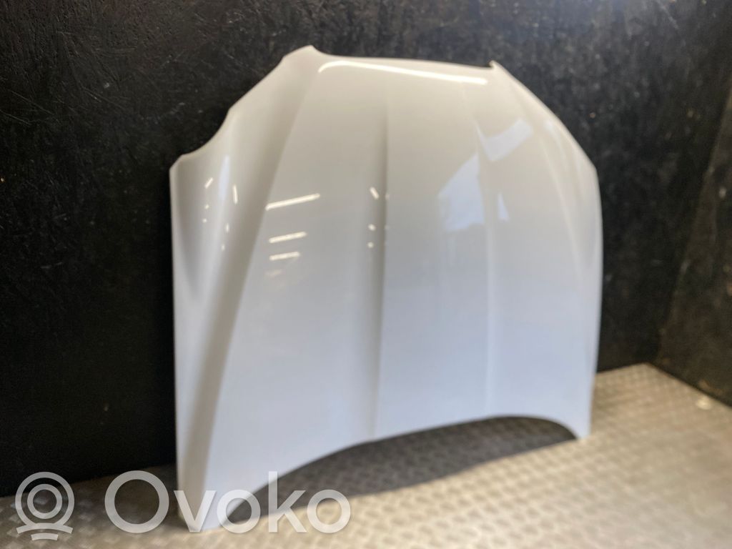 Capó/tapa del motor   F1236