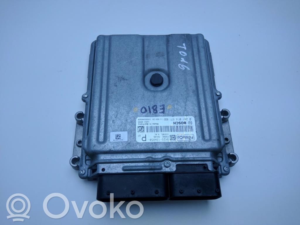 Engine control unit/module   9X2Q12A650P,9X2Q12A650P,E810