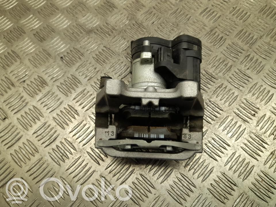 Takajarrusatula   10935920,VD36089