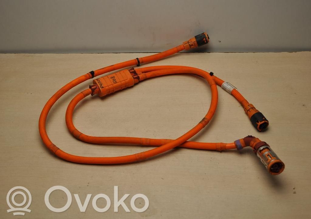 BMW iX3 G08 Otros cableados 
