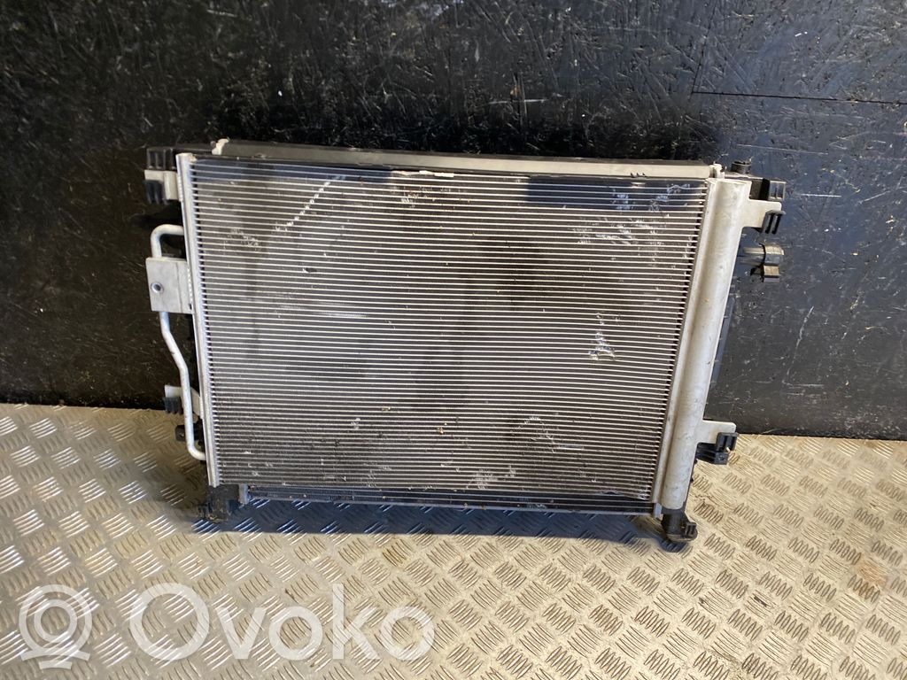Kit Radiateur   220119,10251200,12464643,RAD415