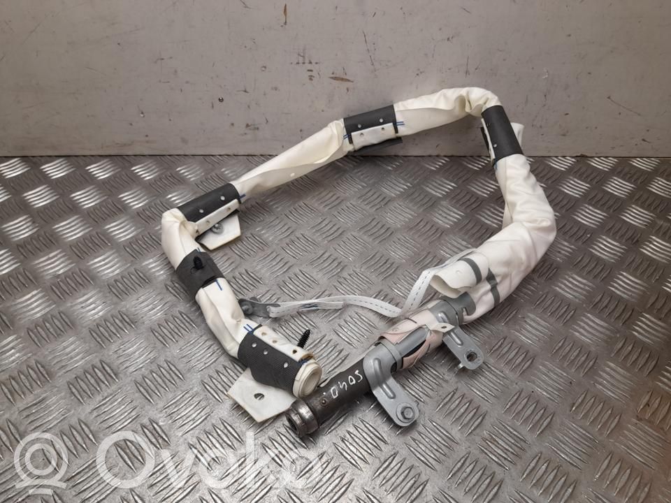 Tesla Model X Airbag del techo 