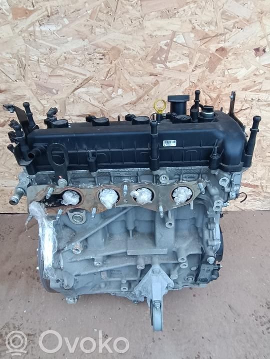 Ford C-MAX II Variklis 