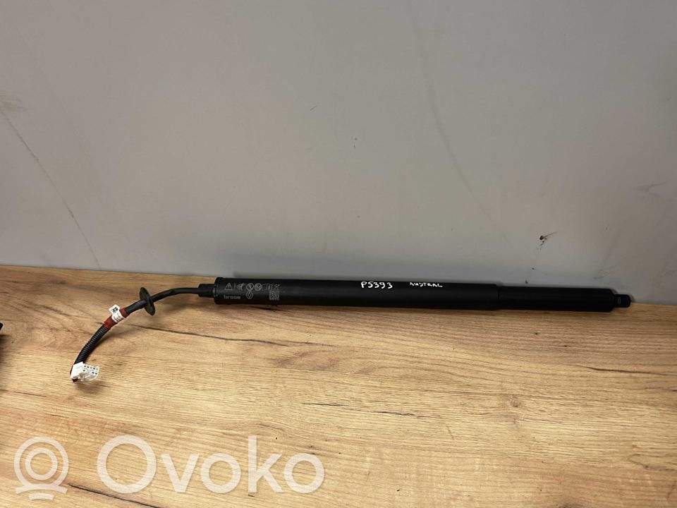 Amortyzator klapy tylnej bagażnika   904519468R,KLEP5393