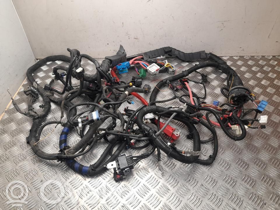Otros cableados   P248905801B,248905004C,H5754