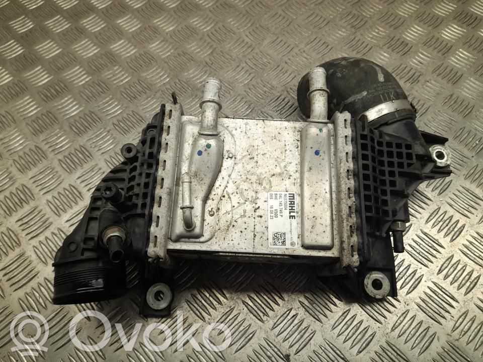 Volkswagen Transporter - Caravelle T6 Radiatore intercooler