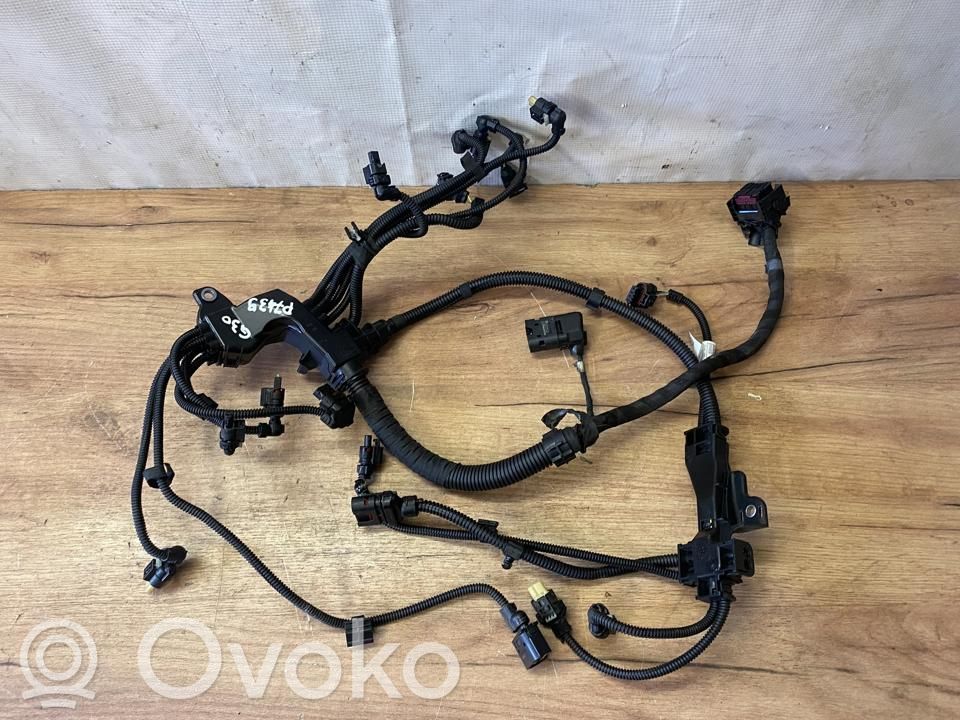 BMW 5 G30 G31 G38 Cablaj motor