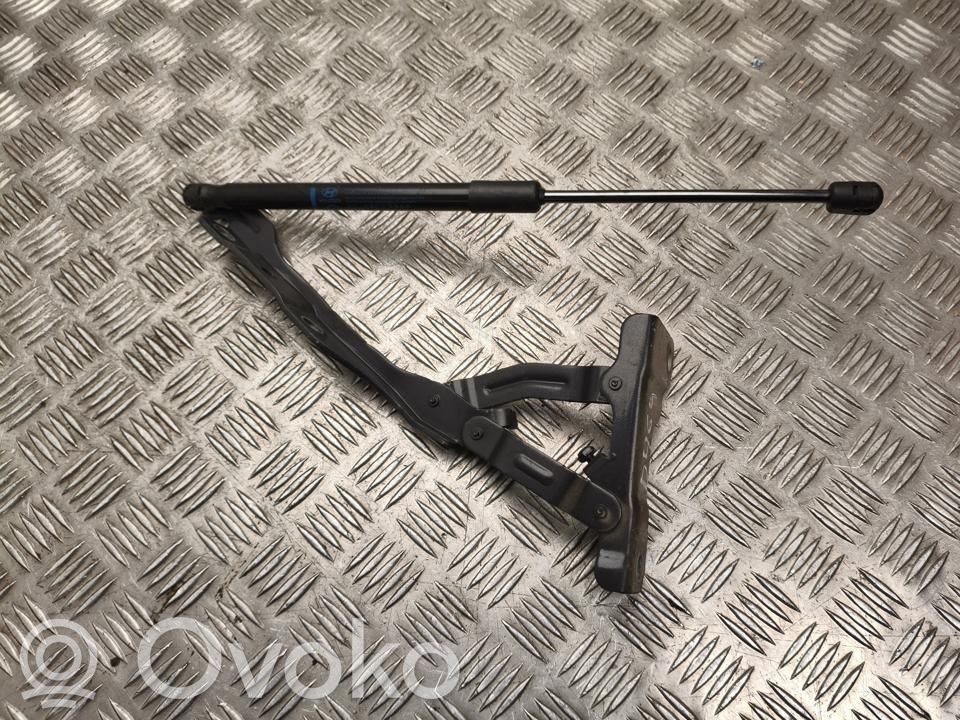 Hyundai IONIQ 6 Konepellin saranat