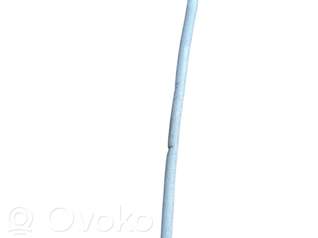 Galinių durų troselis   51227117743