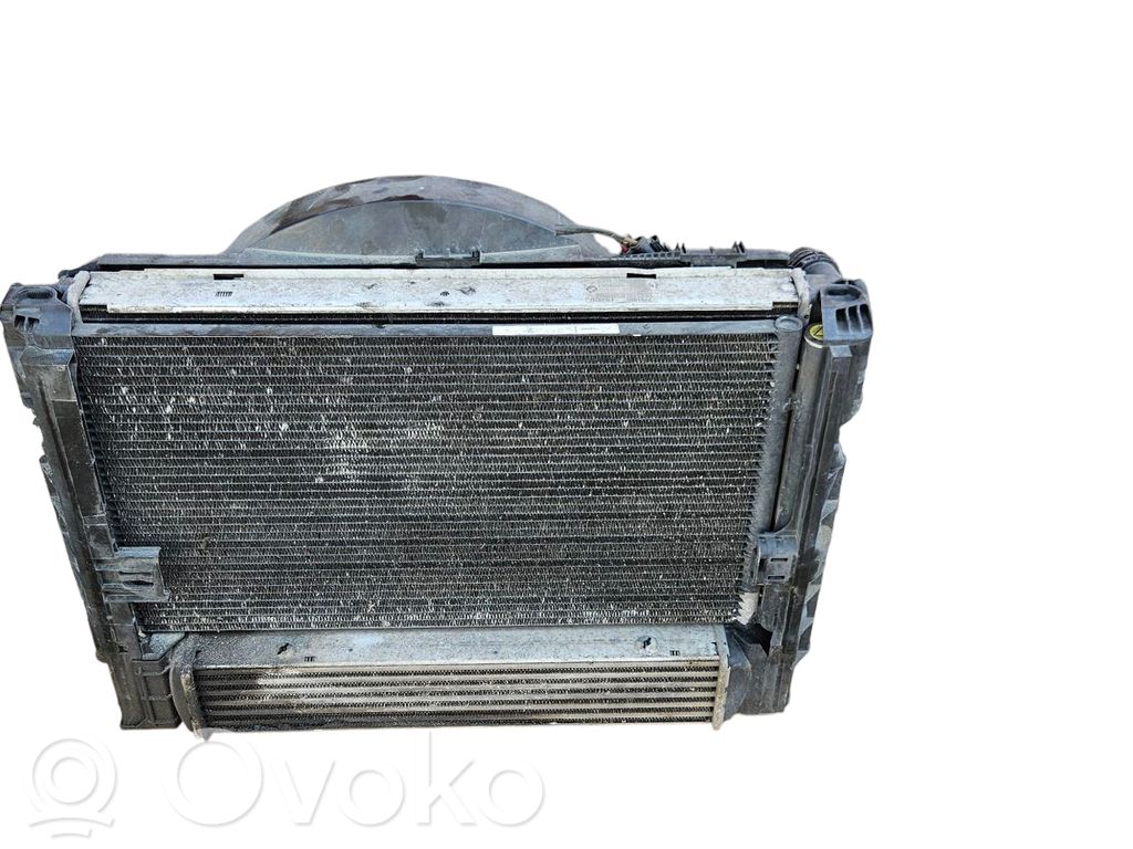 Radiatora komplekts   6930039,7791450,7561713,7524914
