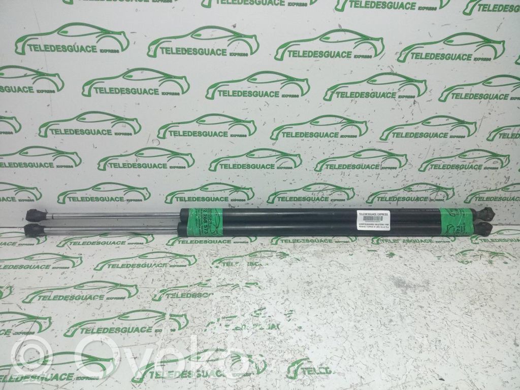 Tailgate/trunk strut/damper