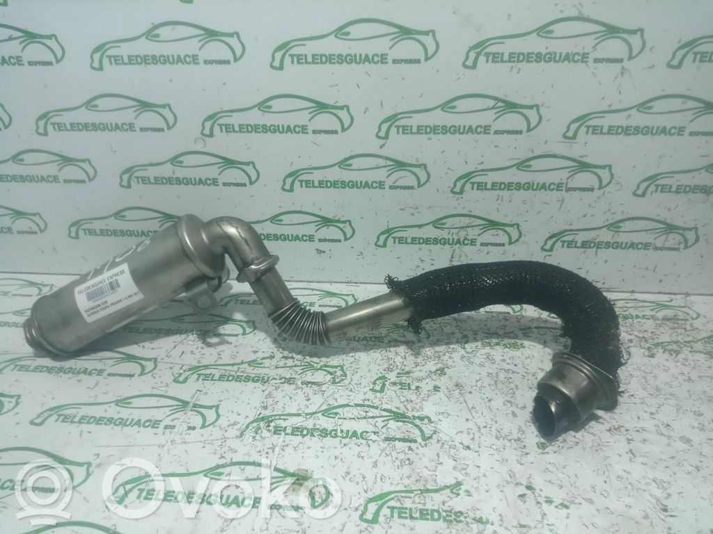 Citroen C4 I Picasso EGR aušintuvas 